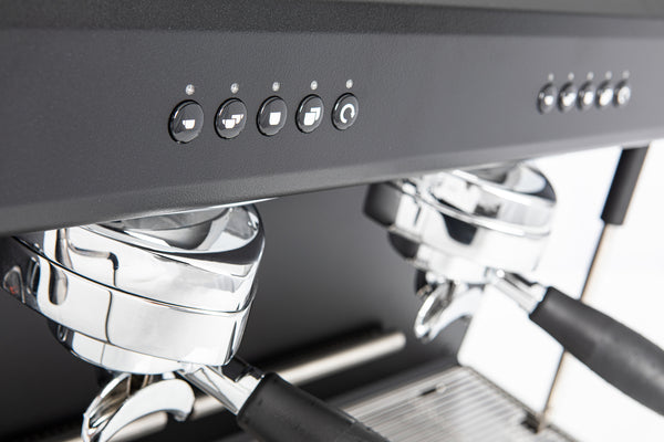 Reneka Viva 2 Group Machine