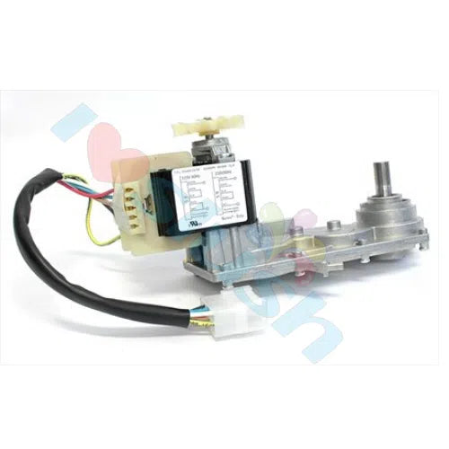 Gear Motor