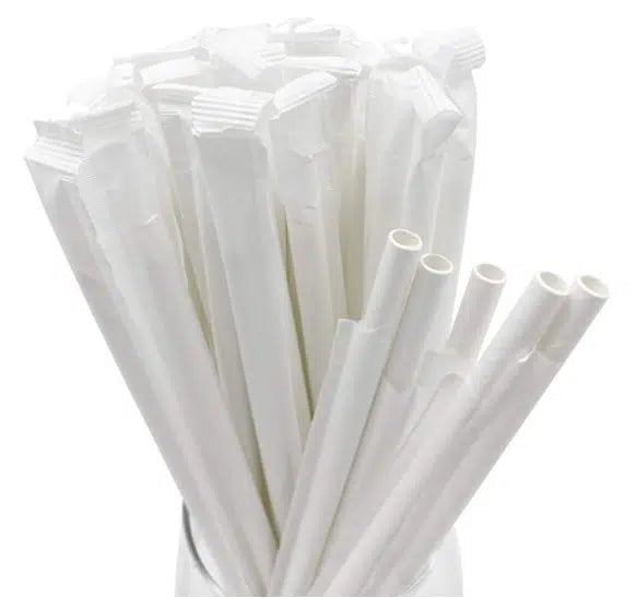 Paper Straws - Individually Wrapped